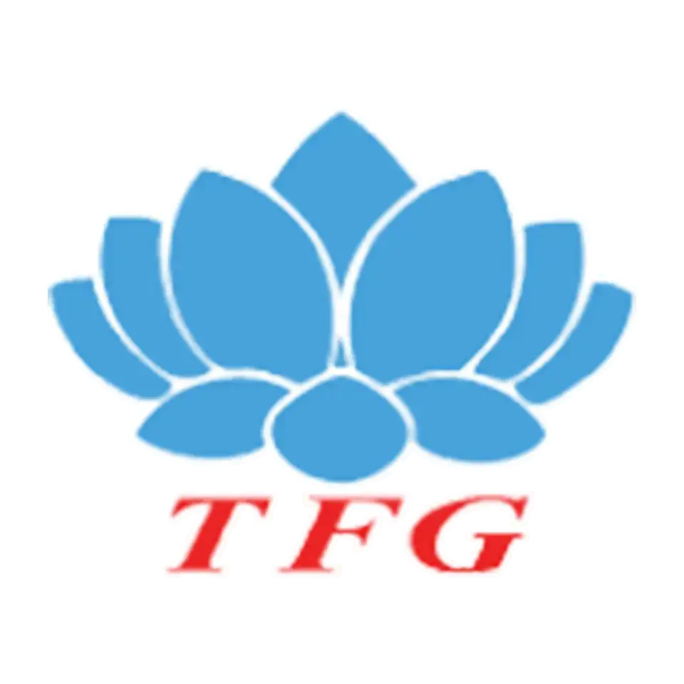 logoTFG.webp